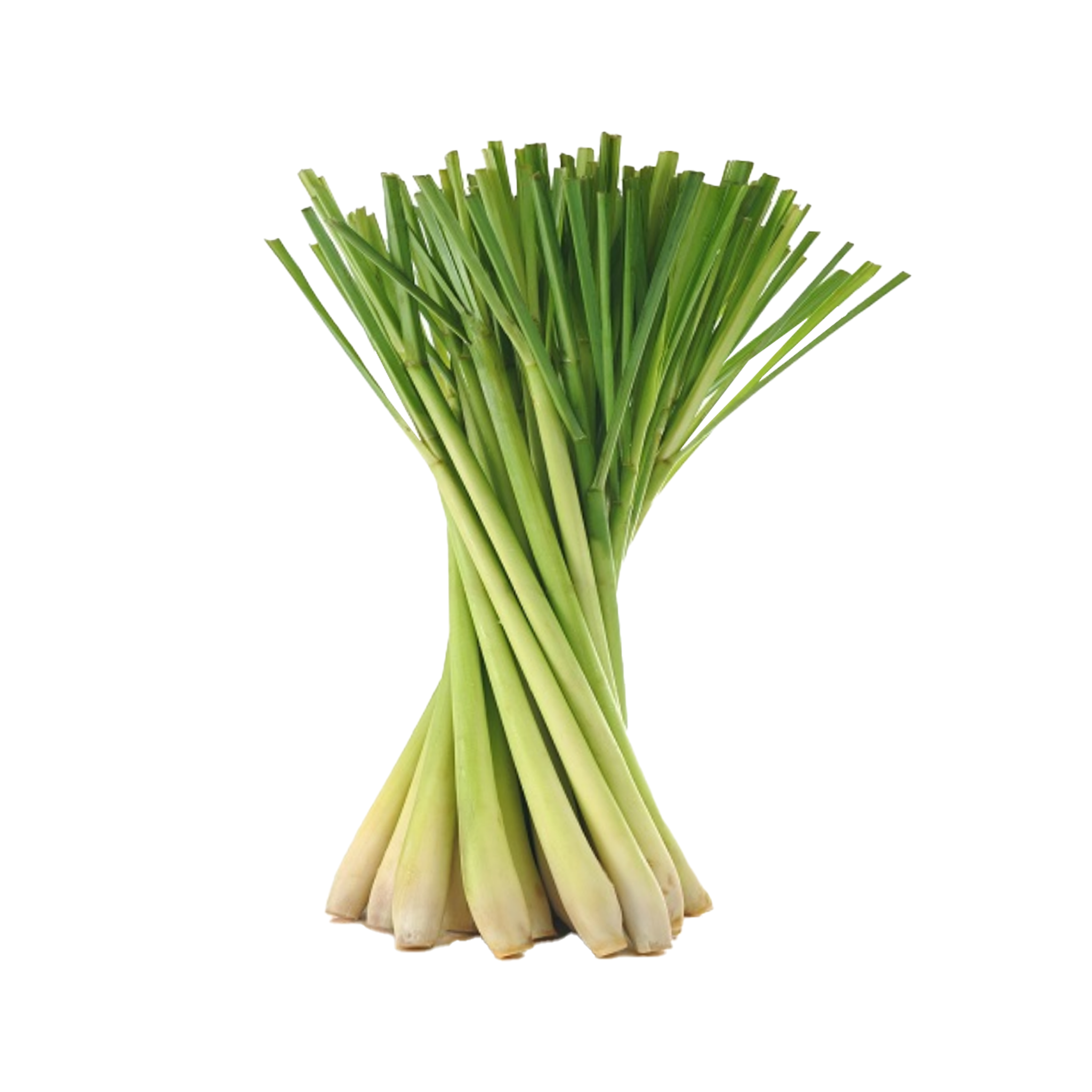 Fresh Lemon Grass 100g