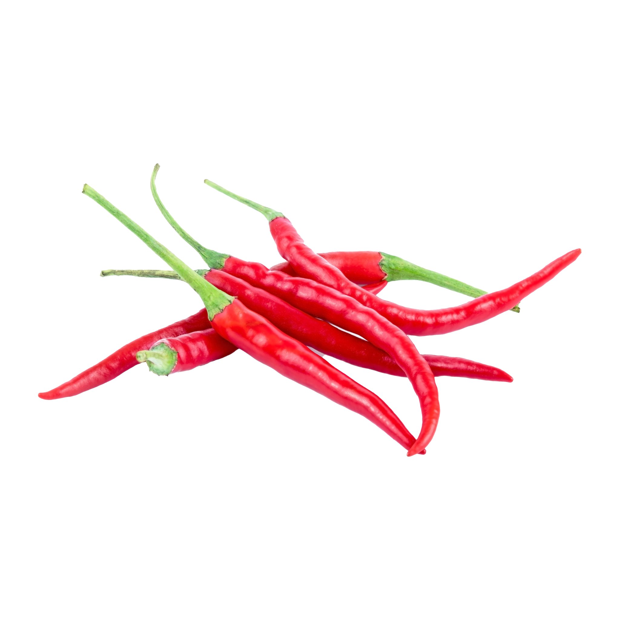 Fresh Red Chilli 100gr