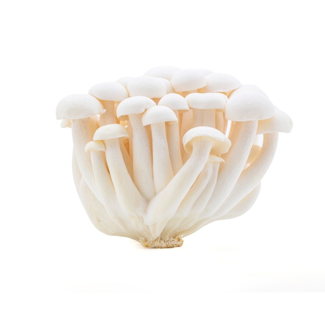 Shimeji White Mushroom 150g